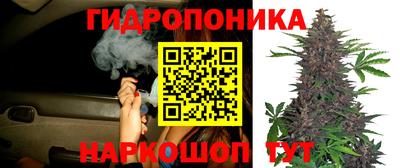 индика Ликино-Дулёво