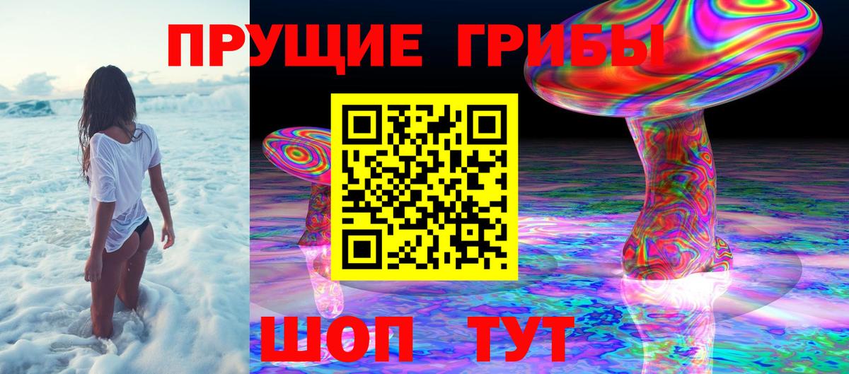 Ишим  цена   Псилоцибиновые грибы Magic Shrooms  Вход с VPN  Галлюциногенные грибы Psilocybe 