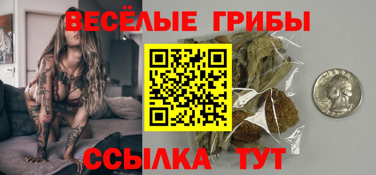 Галлюциногенные грибы мухоморы Ишим