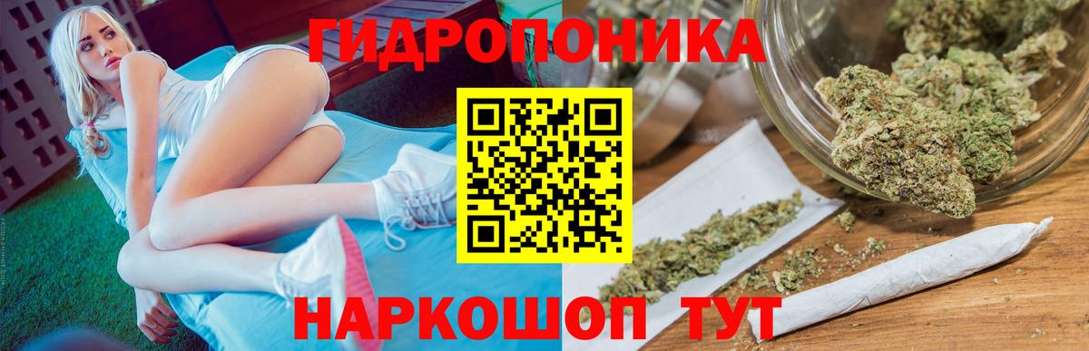 Бошки Шишки OG Kush Ишим